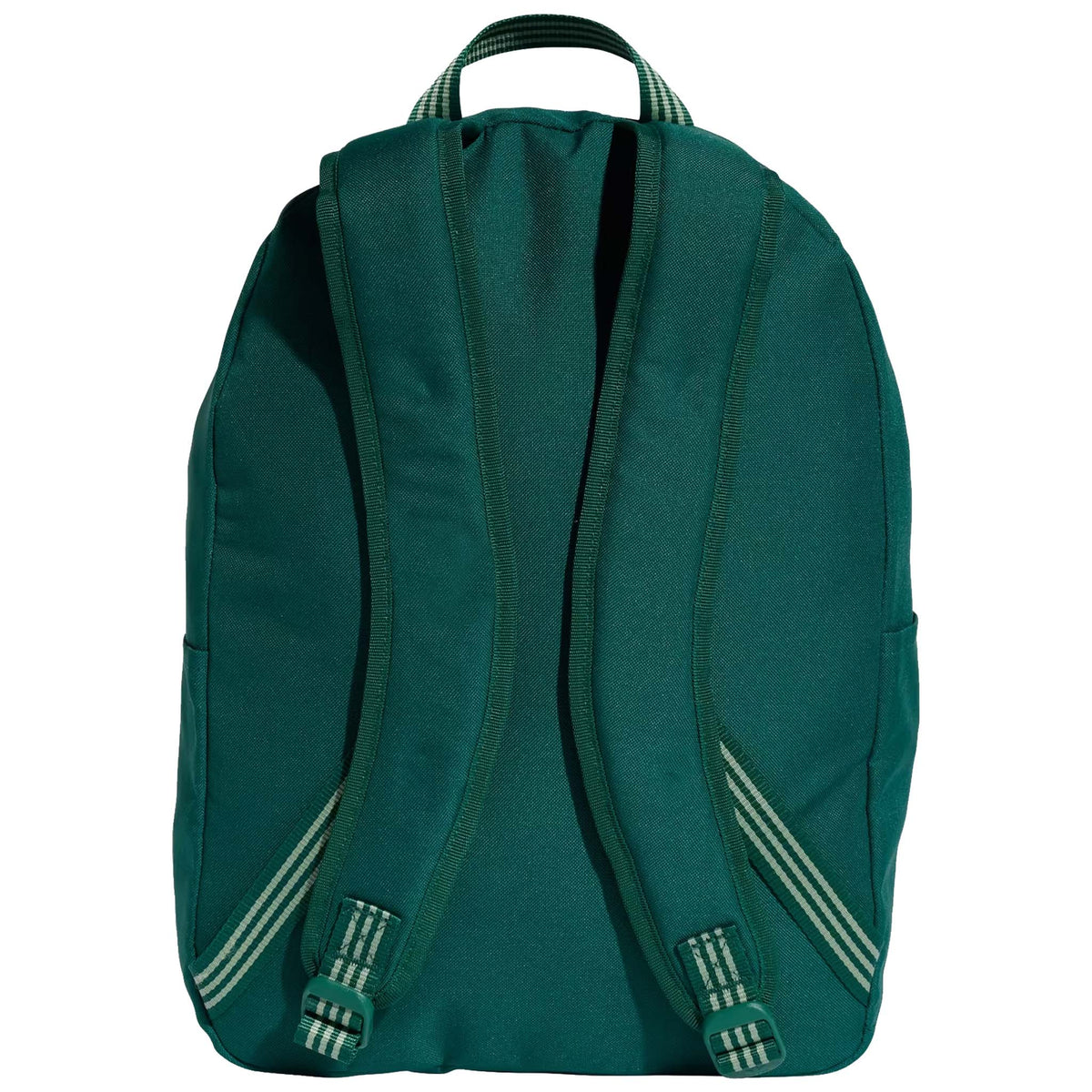 Forest Green Everyday Backpack | BNANZO Sports